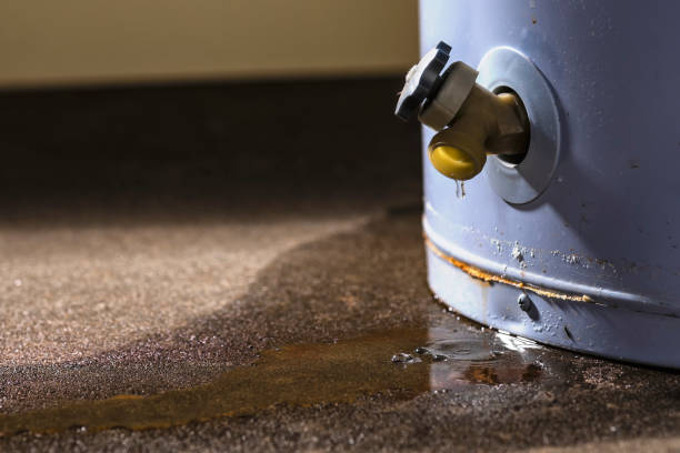 Best Water damage restoration near me  in De Graff, OH