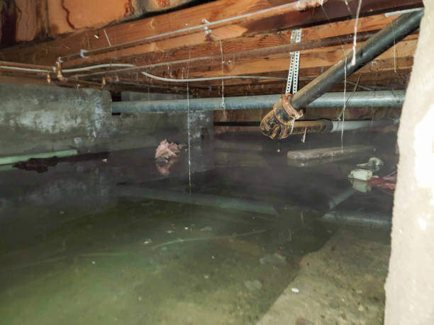 De Graff, OH Water damage restoration Company