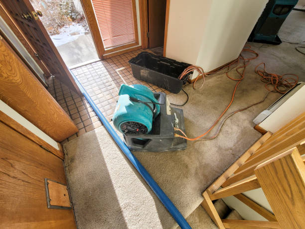 Best Fire Damage Restoration  in De Graff, OH