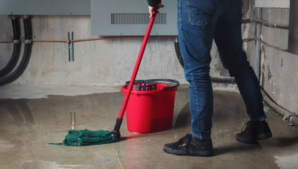 Best Water damage cleanup near me  in De Graff, OH
