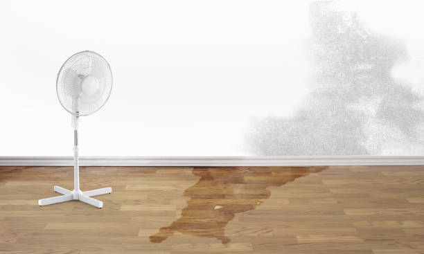 Best Water damage cleanup near me  in De Graff, OH