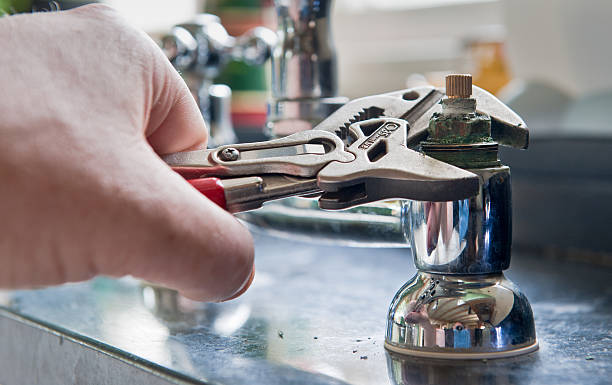 Best Professional water damage repair  in De Graff, OH