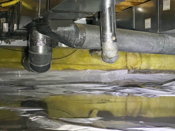 Best Water damage restoration cost  in De Graff, OH