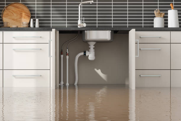  De Graff, OH Water damage restoration Pros