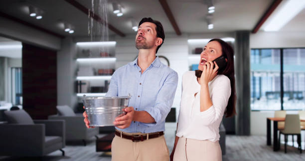 Best Carpet water damage restoration  in De Graff, OH